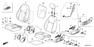 Head Restraint/Head Restraint